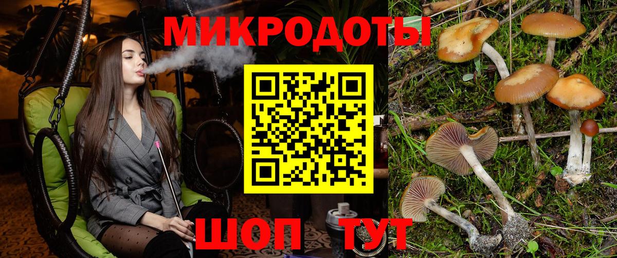 Галлюциногенные грибы GOLDEN TEACHER  Галлюциногенные грибы Psilocybine cubensis  Вход с VPN  Павловский Посад 