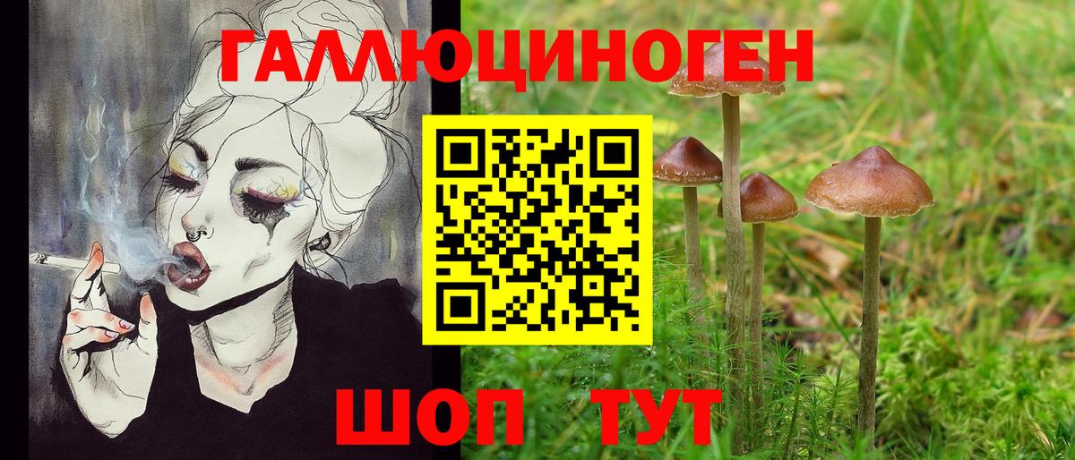Галлюциногенные грибы Magic Shrooms Павловский Посад